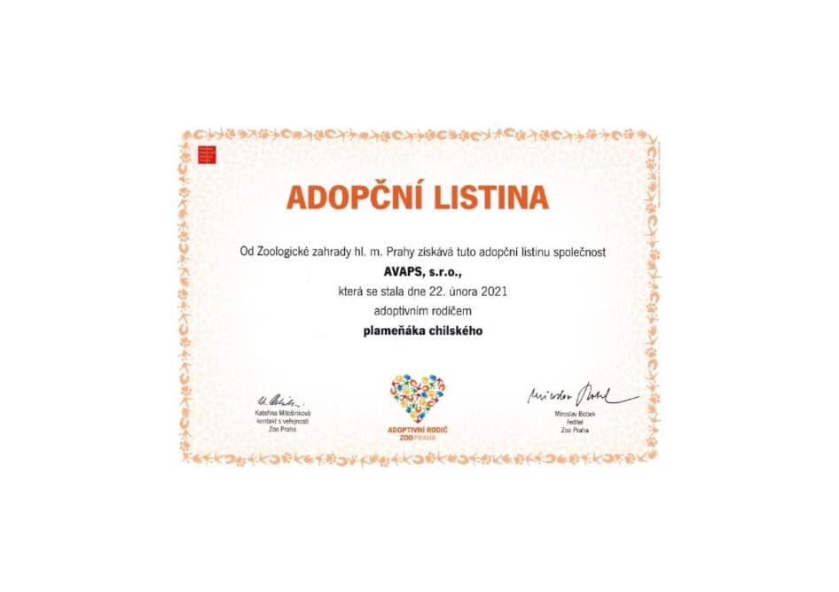 Adopční listina plameňák chilský